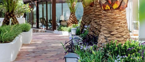 A pathway lined with potted plants and a palm tree, leading to a covered seating area with a glass enclosure.