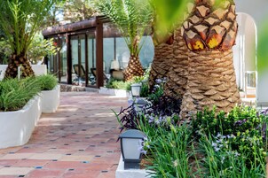 Áreas de la propiedad