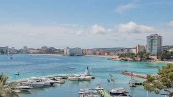 Vista desde la propiedad