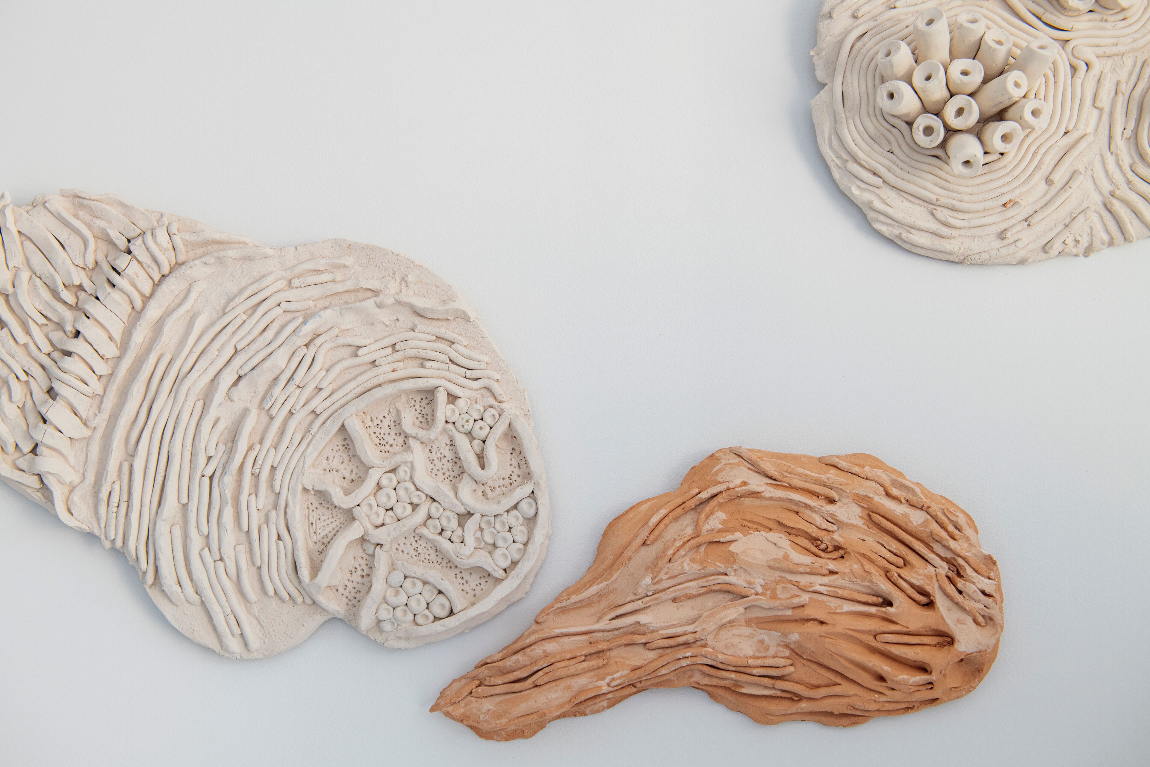 Three sculptural installations with organic shapes and textures.