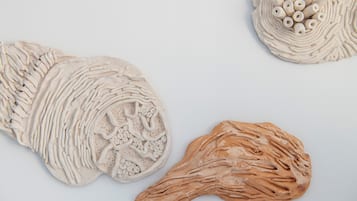 Tres instalaciones escultóricas con formas y texturas orgánicas.