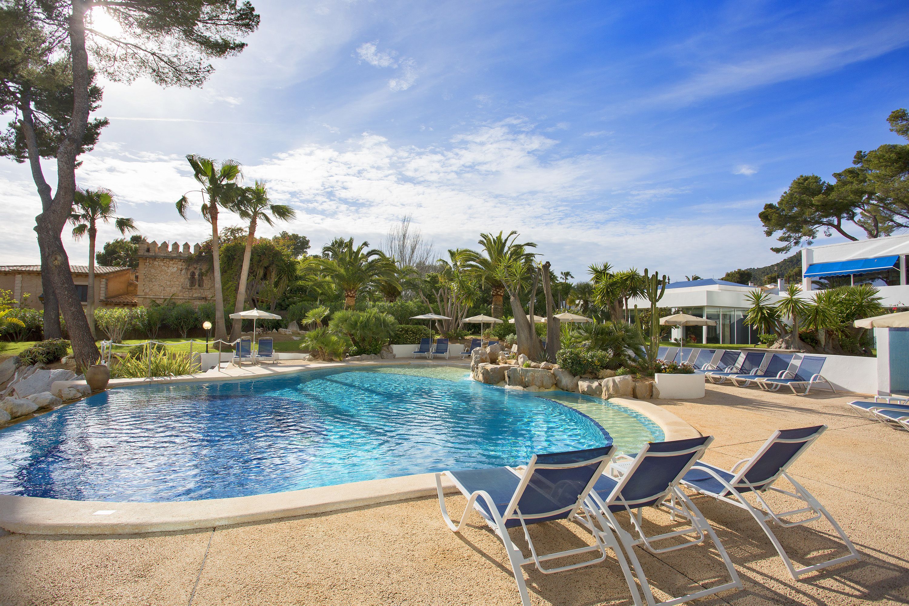 Une piscine avec des chaises longues et des palmiers.