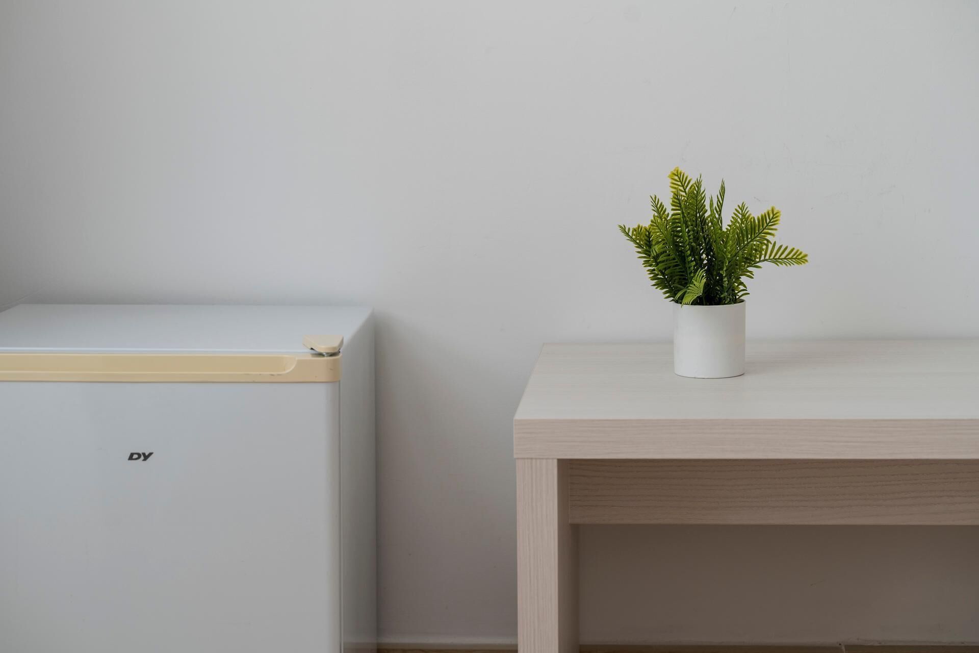 Photo - Hotel Amic Colon