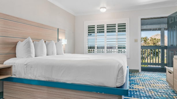 Standardzimmer, 1 King-Bett, Kühlschrank und Mikrowelle