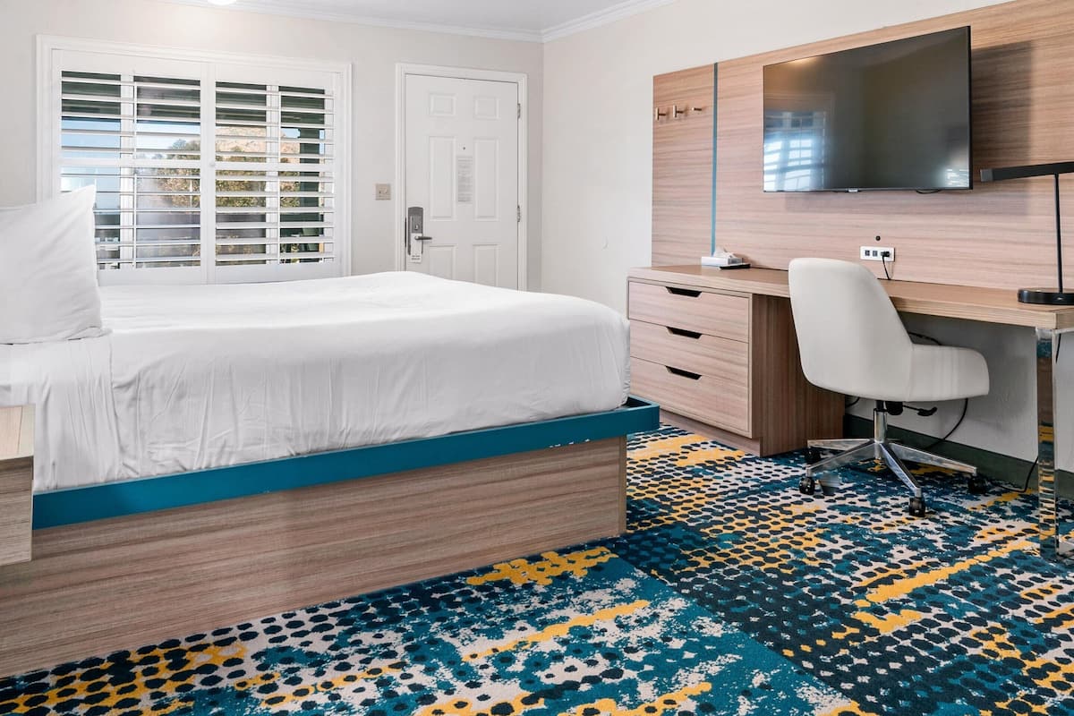 A hotel room with a bed, a desk, a chair, a TV, and a patterned carpet.