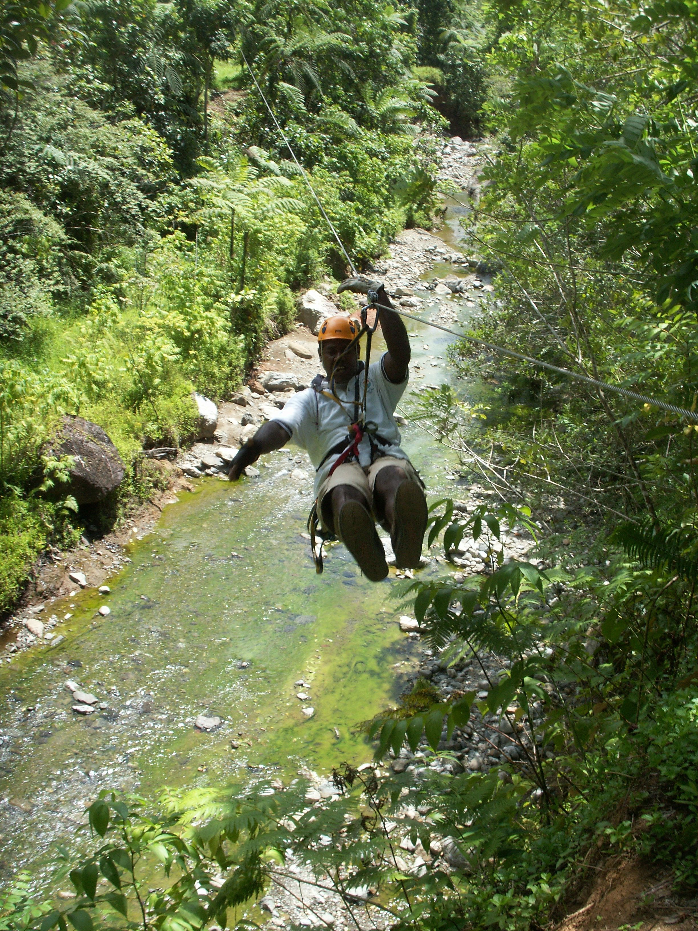 A person rappelling down a rocky riverbank surrounded by dense greenery.