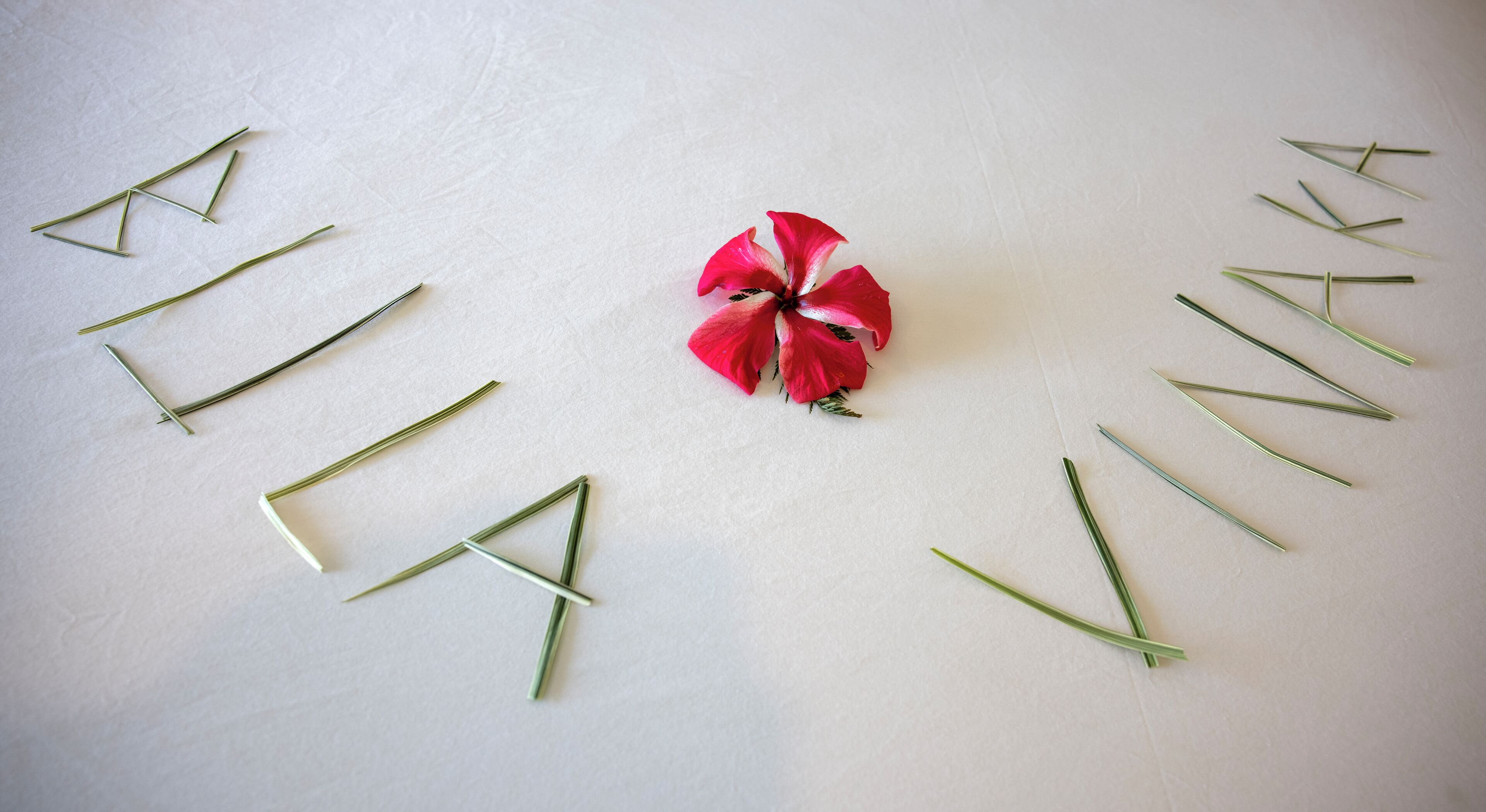A white surface with the word "VINA" spelled out in green sticks and a red flower in the center.