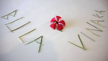 A white surface with the word "VINA" spelled out in green sticks and a red flower in the center.