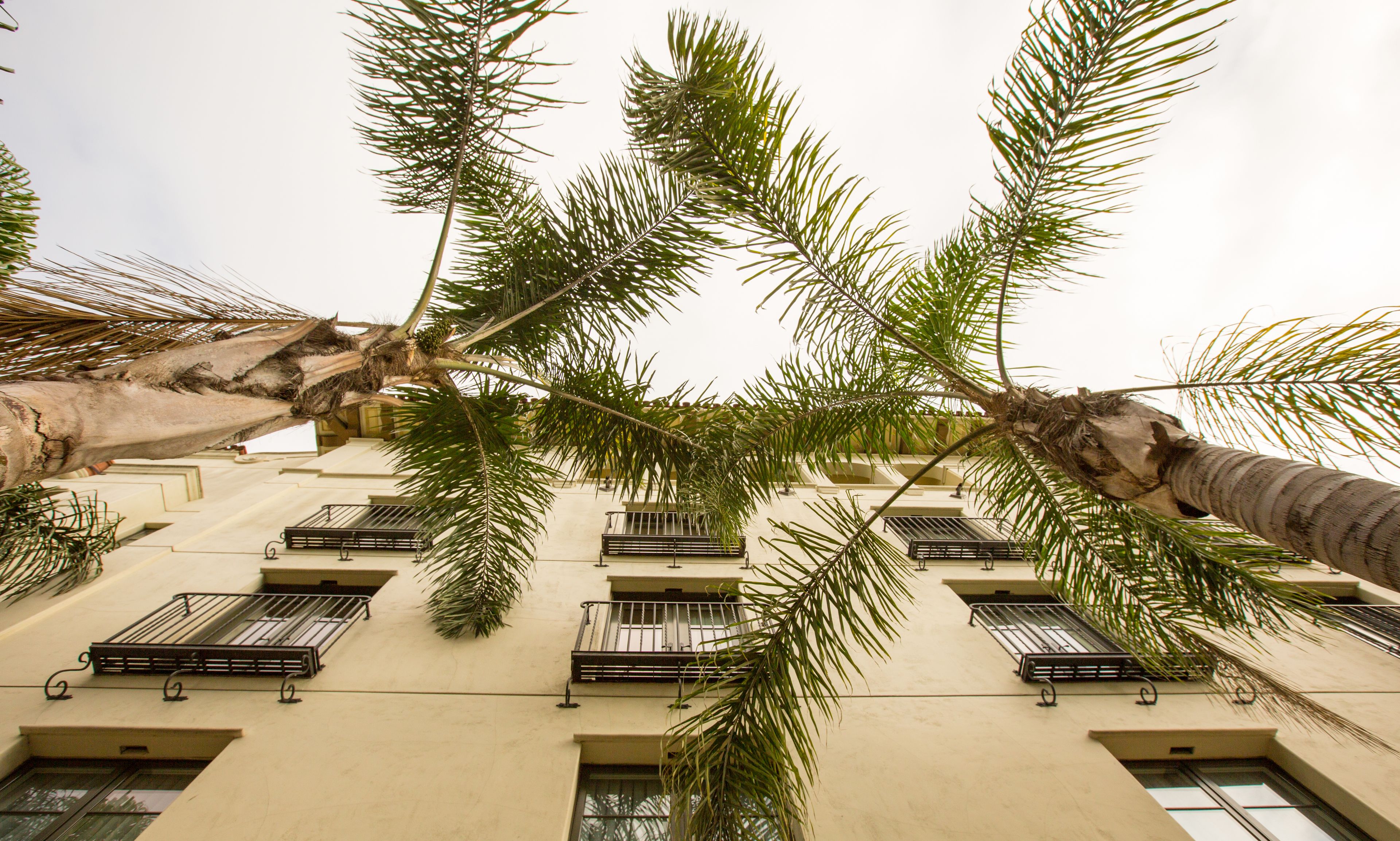 Photo - Kimpton Canary Hotel by IHG