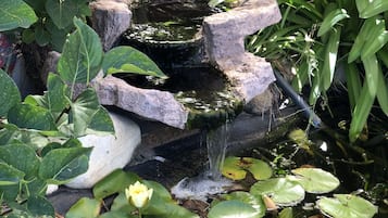 Tuin