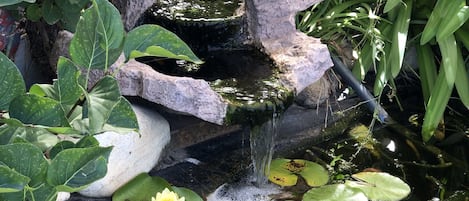 Jardin