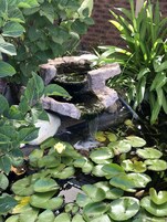 Jardim