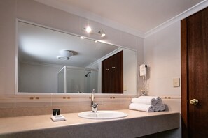 Eco-friendly toiletries, hair dryer, towels