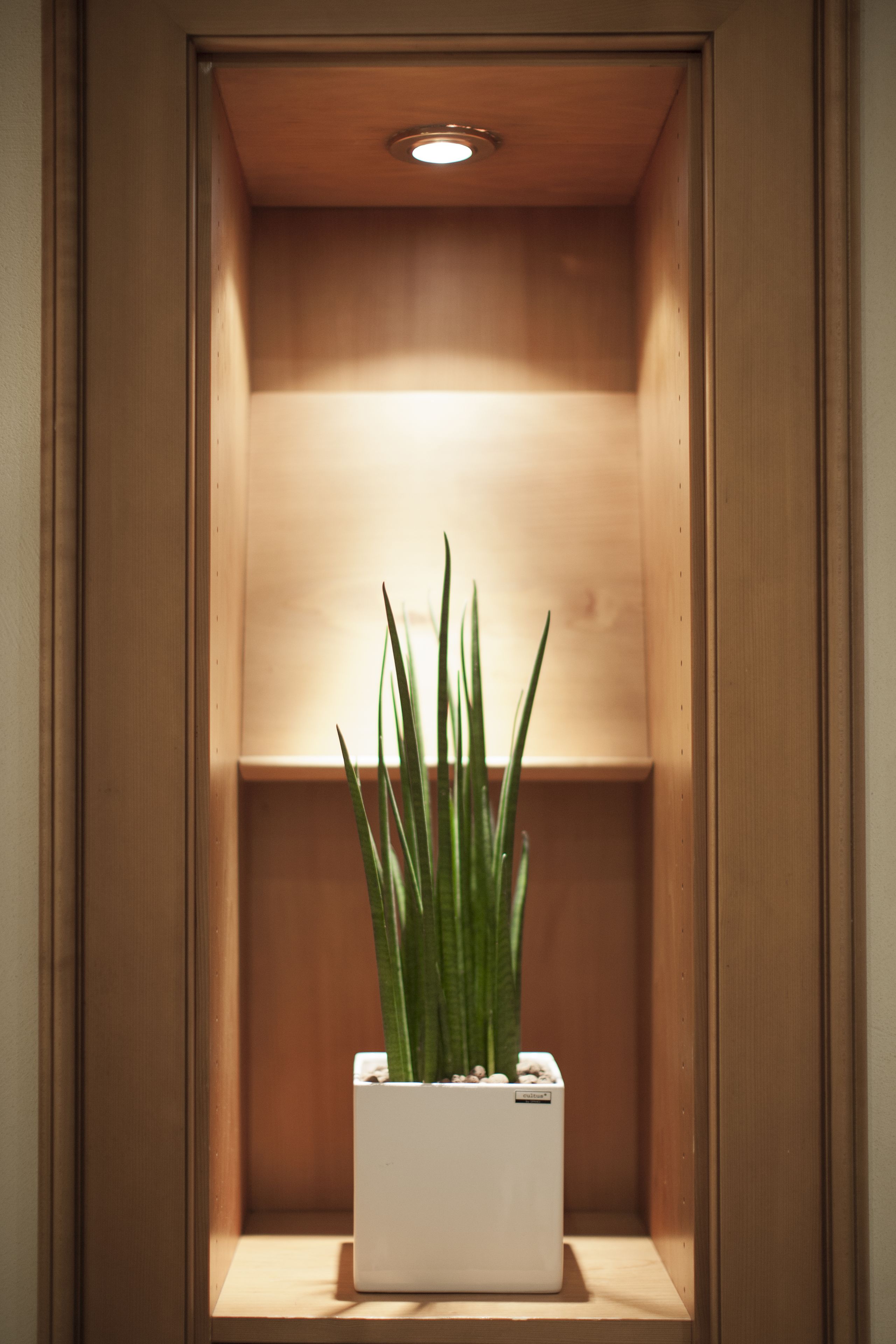 A white planter with green plants in a wooden cabinet with a recessed ceiling light.