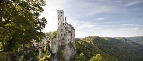 A castle on a cliff with a bridge, surrounded by forest.