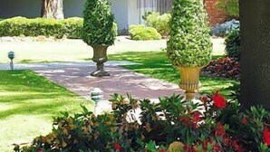 A garden with topiary, a brick building, and a paved walkway. - Lamp Liter Inn Visalia, an Ascend Collection Hotel (Visalia)