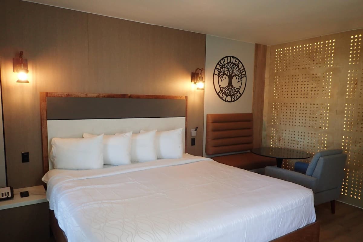 Standard Room, 1 King Bed, Non Smoking | Desk, laptop workspace, blackout drapes, free WiFi