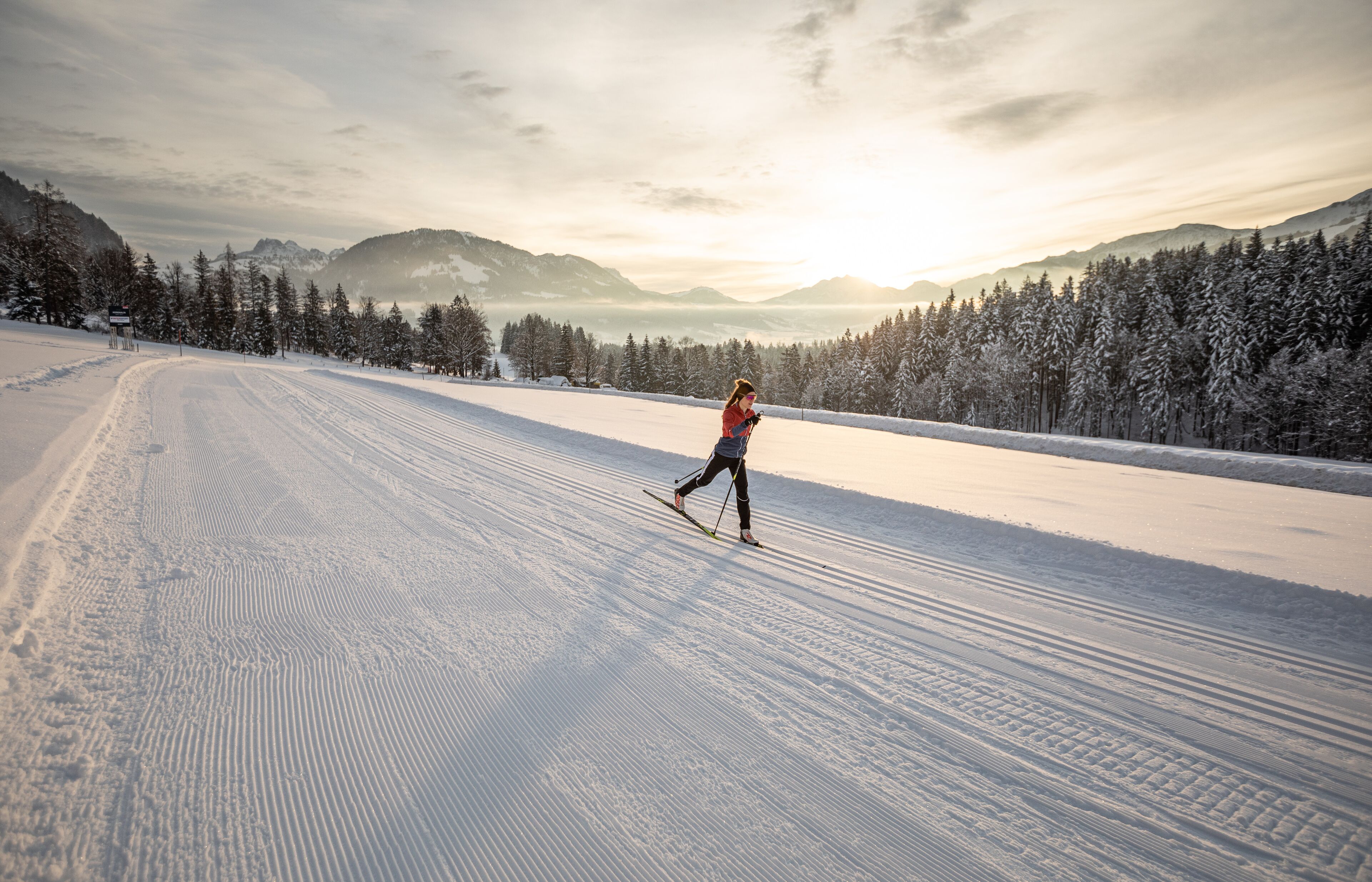 A person skiing on a snow-covered path with trees and mountains in the background.