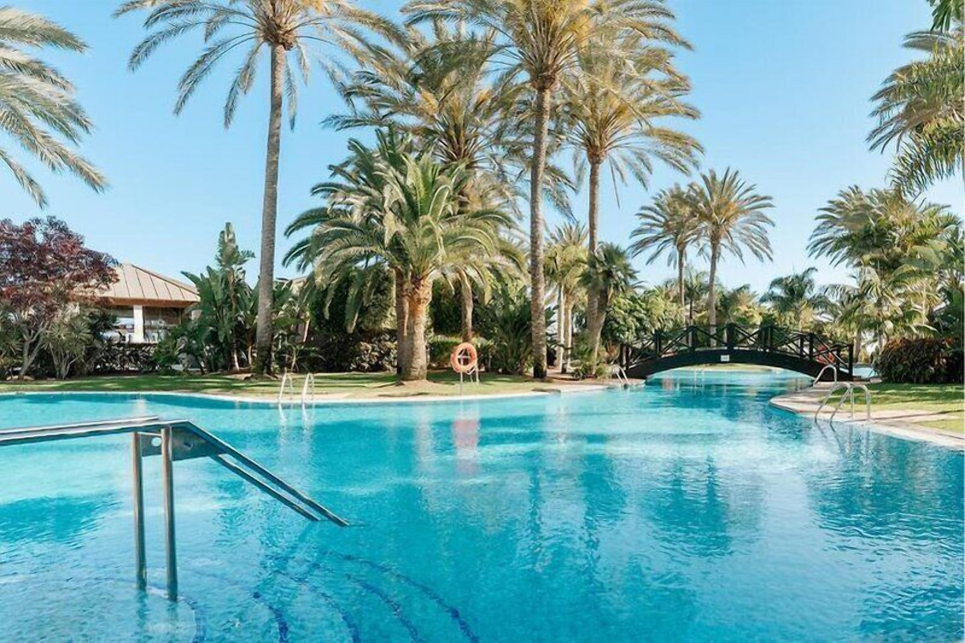 A swimming pool surrounded by palm trees and a bridge.