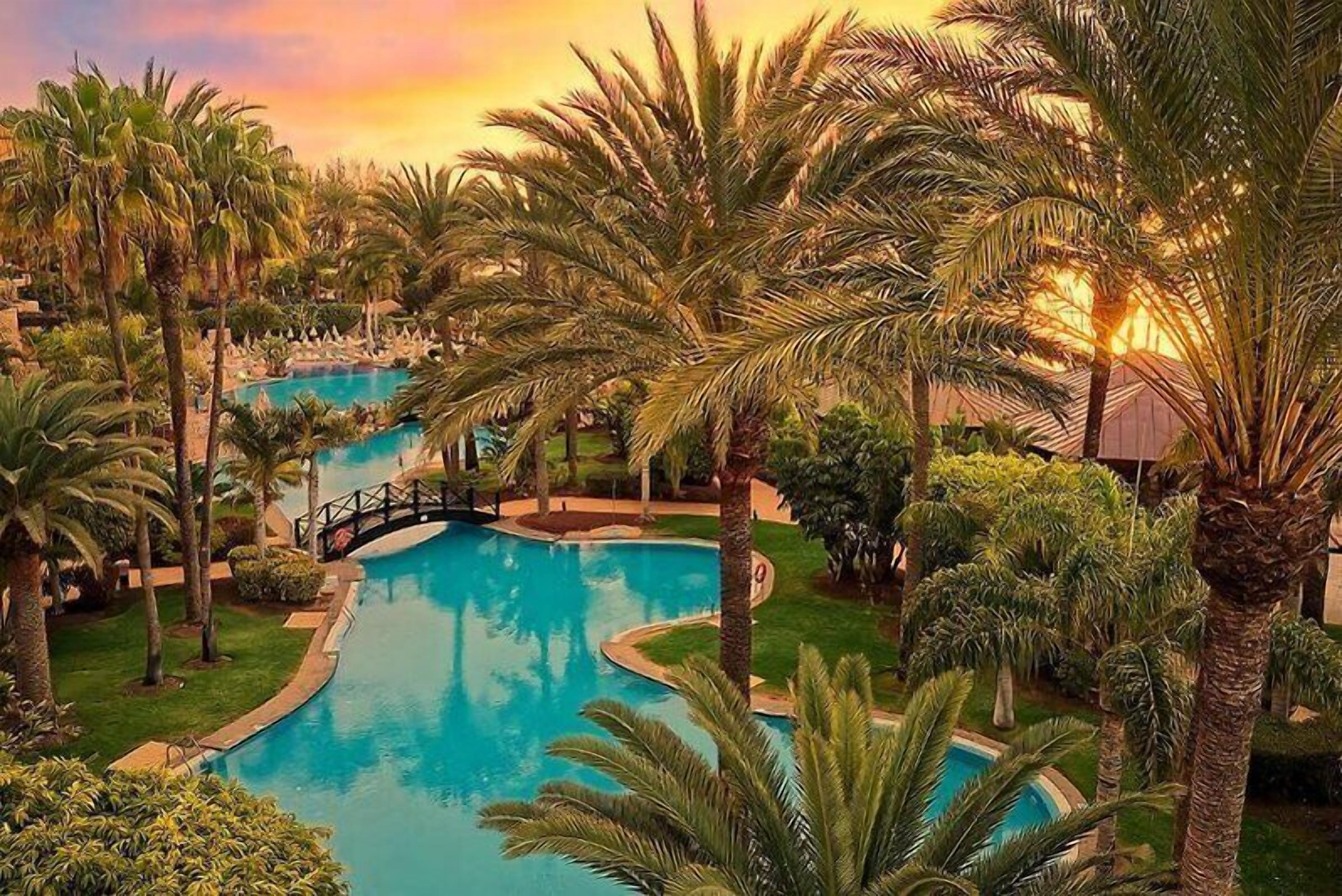 Un resort con piscina rodeada de palmeras y un puente.