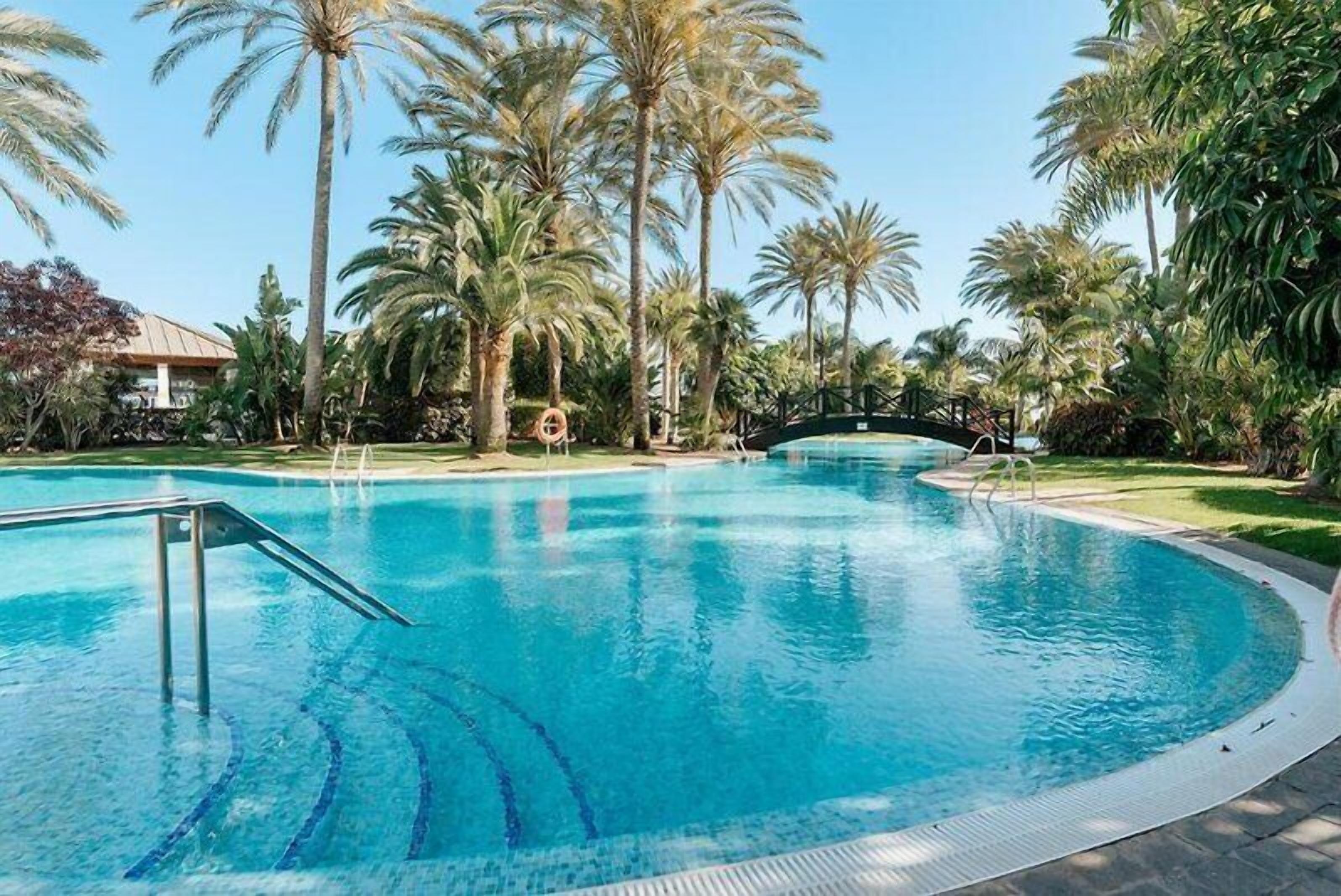 Ein Swimmingpool, umgeben von Palmen und einer Brücke.