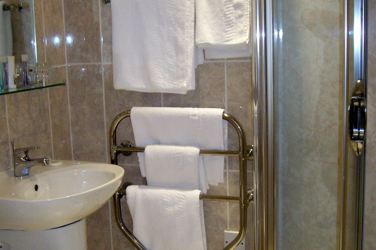 shower, free toiletries, hair dryer, towels