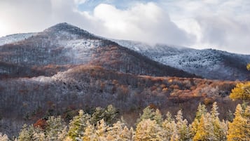 Een bergachtig landschap met bomen in herfstkleuren en sneeuw op de toppen.