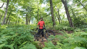 Une personne se tient dans une forêt, à côté d’un vélo.