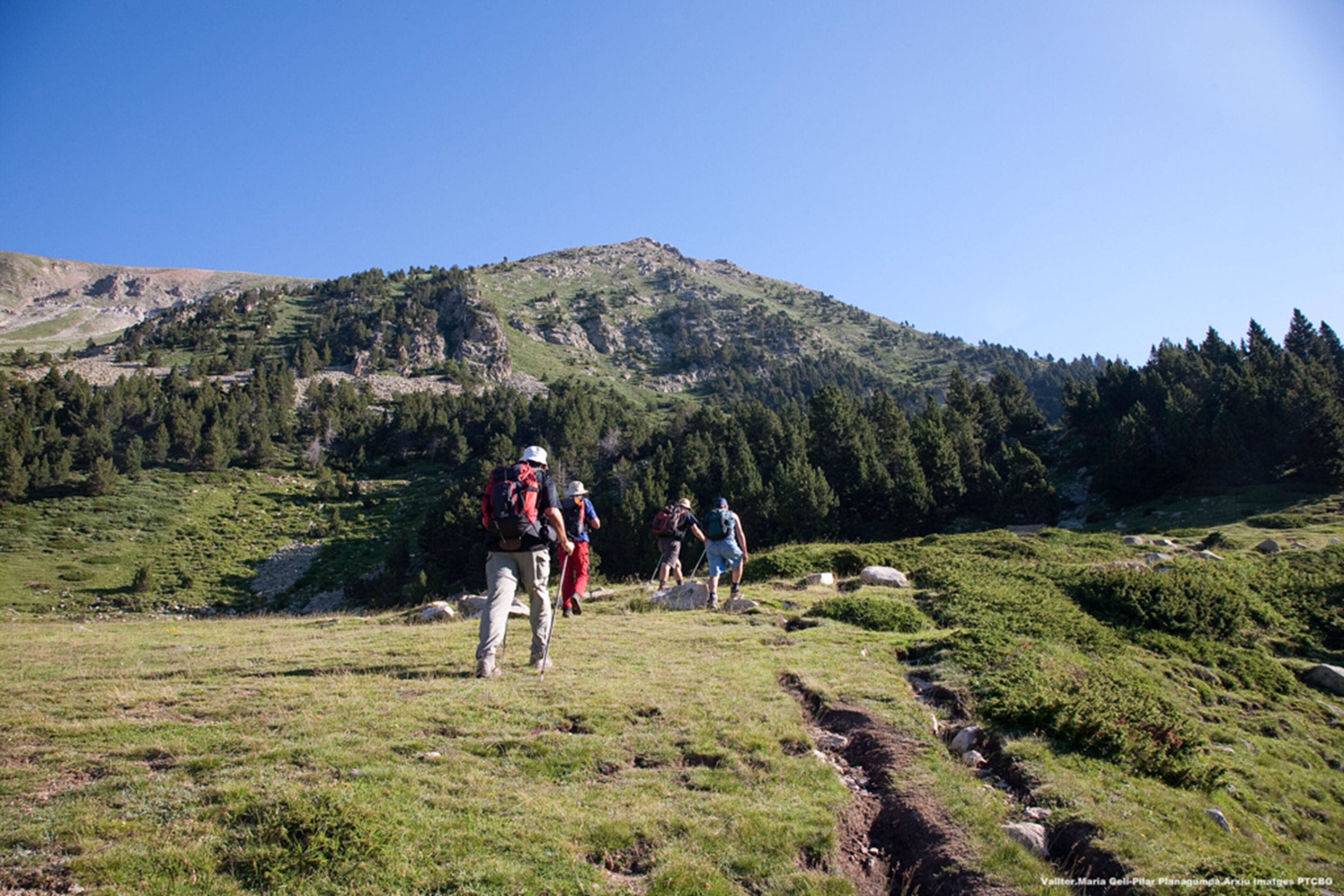 A group of hikers on a grassy trail with a mountainous backdrop.