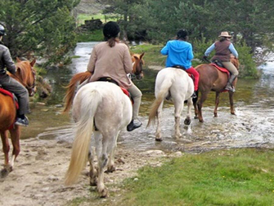 A group of people riding horses along a river path.