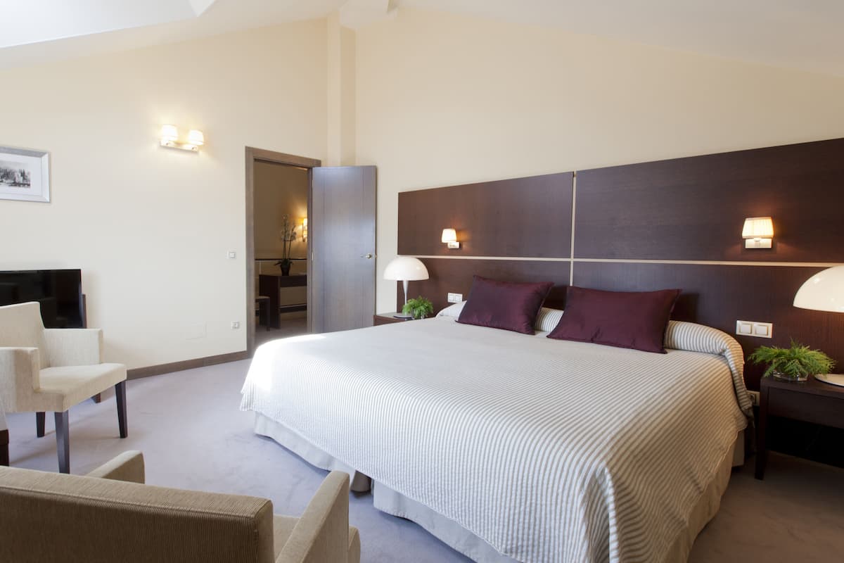 A hotel room with a large bed, a desk, a chair, and a TV.