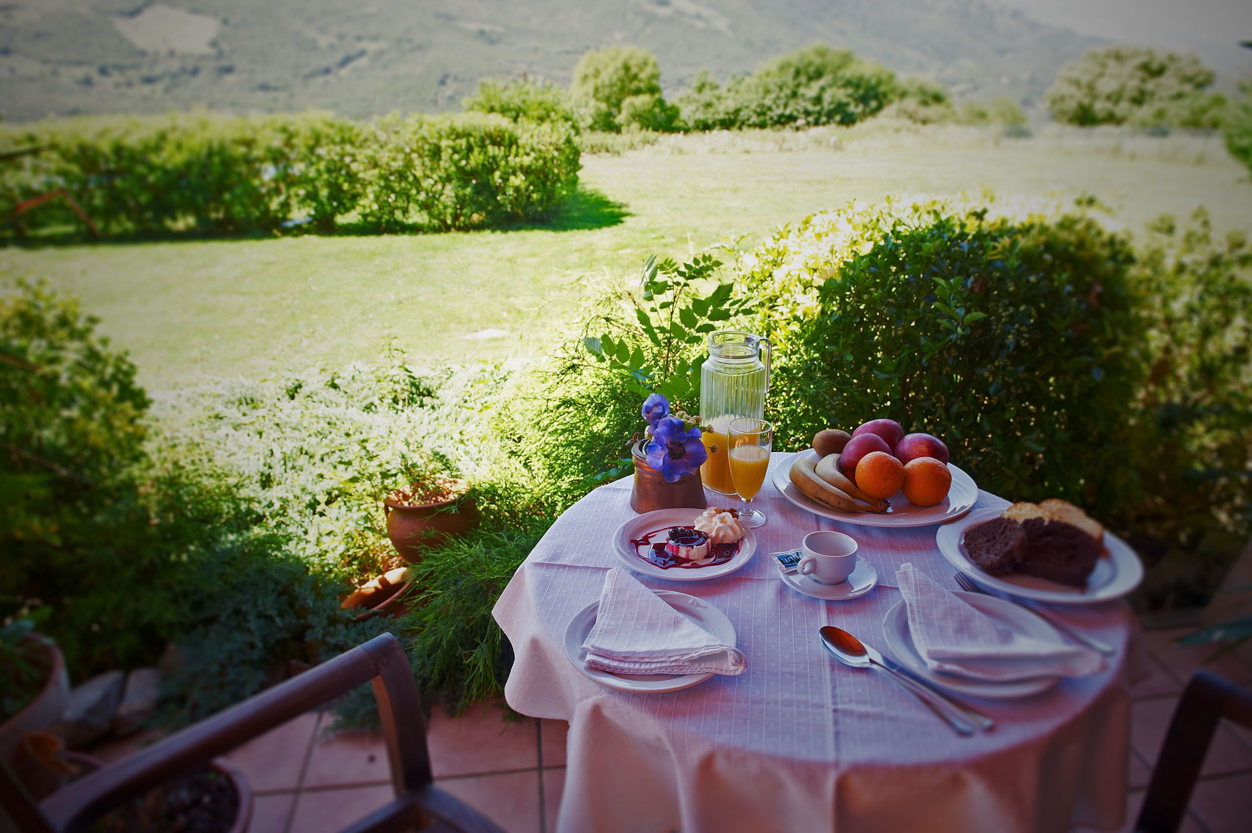 breakfast and dinner served, international cuisine