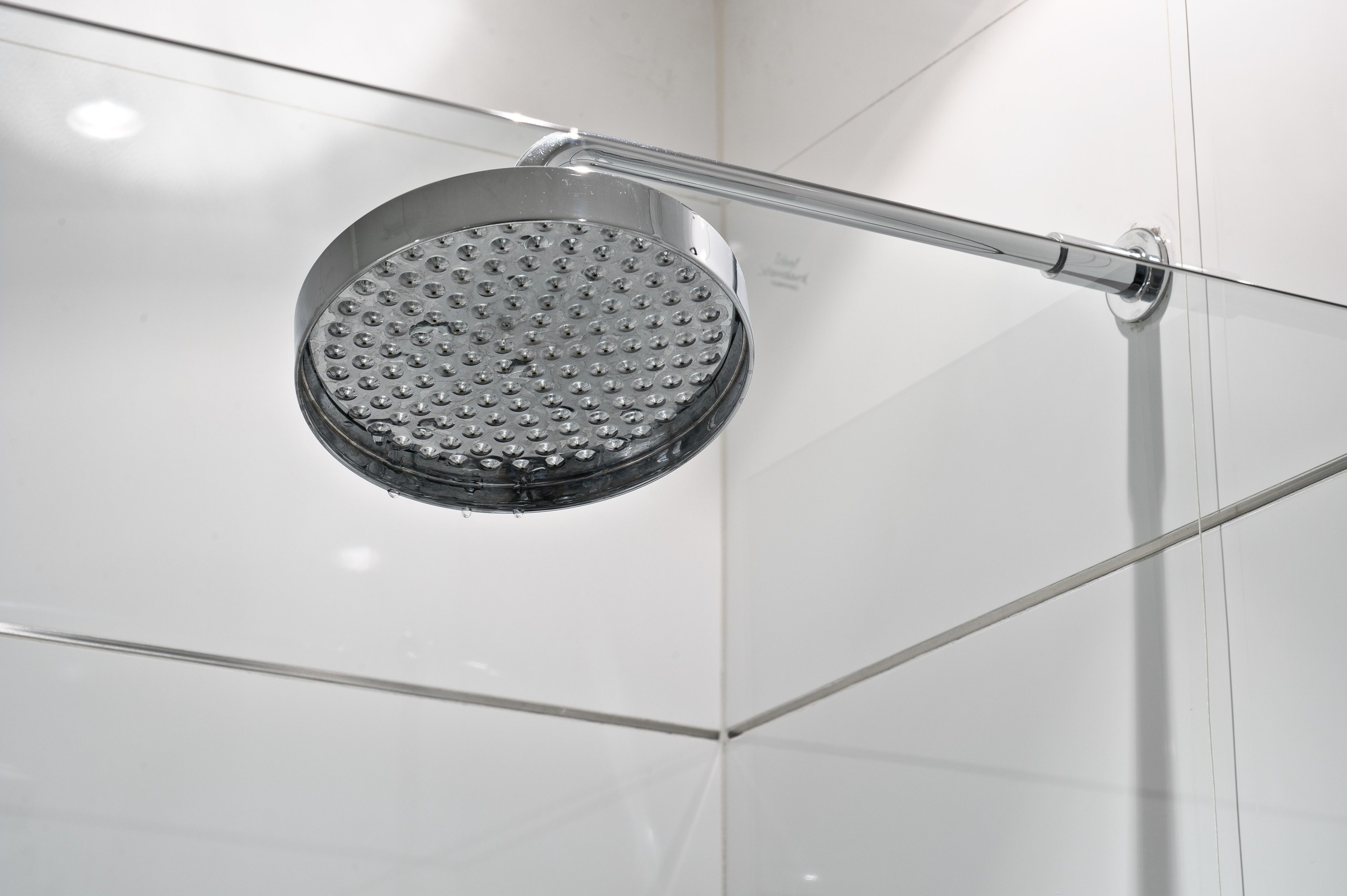 shower, free toiletries, hair dryer, bidet