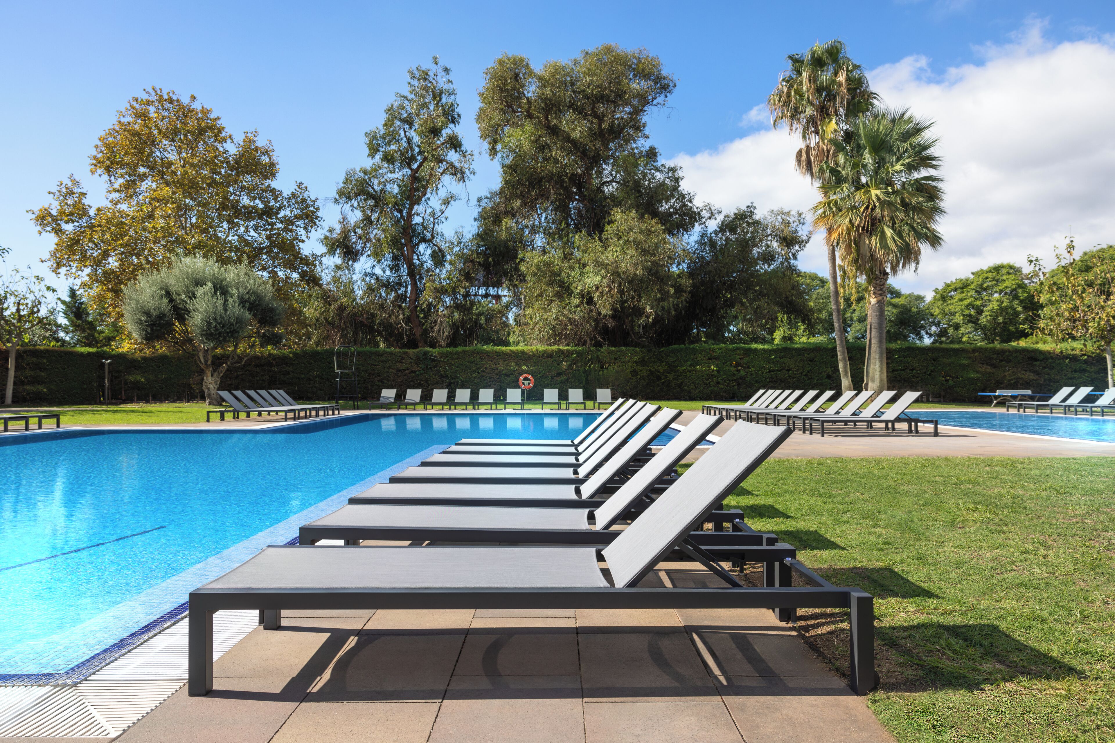 Piscina con sillas de descanso, rodeada de árboles y un cielo despejado.