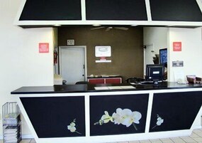 Recepción