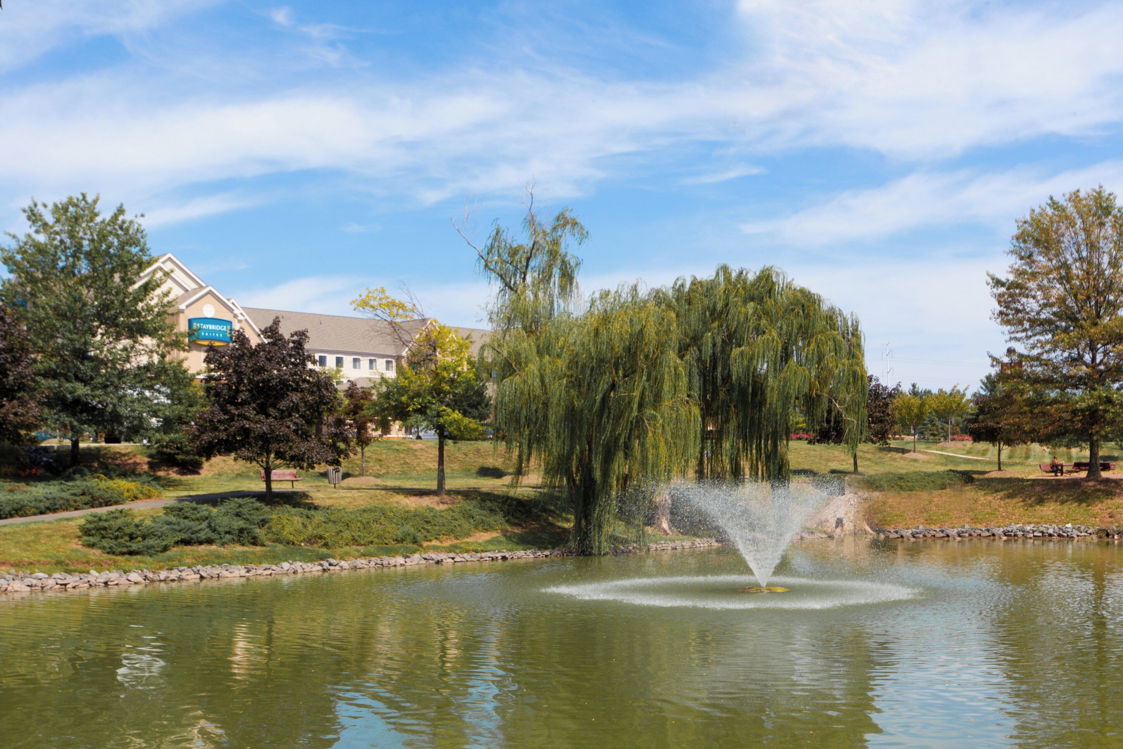 A tranquil park with a pond, a weeping willow, and a Staybridge hotel in the background.