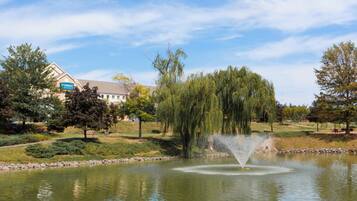 A tranquil park with a pond, a weeping willow, and a Staybridge hotel in the background.