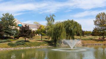 Servicio de la propiedad