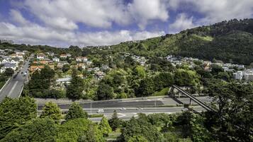 A residential area with houses, a bridge, and a road.