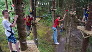A rope bridge in a forested area with participants wearing safety harnesses.