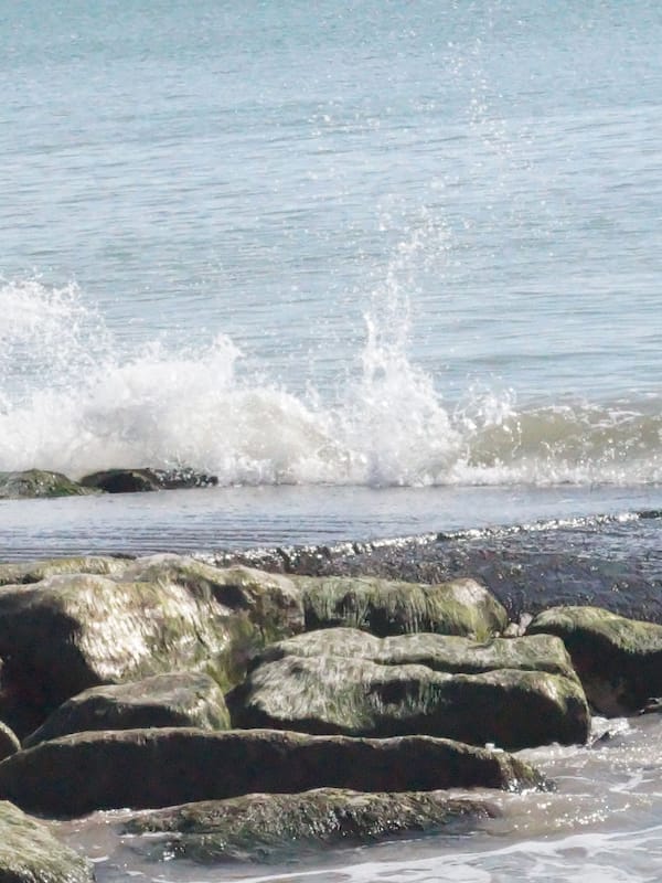 Accommodatie ligt op het strand