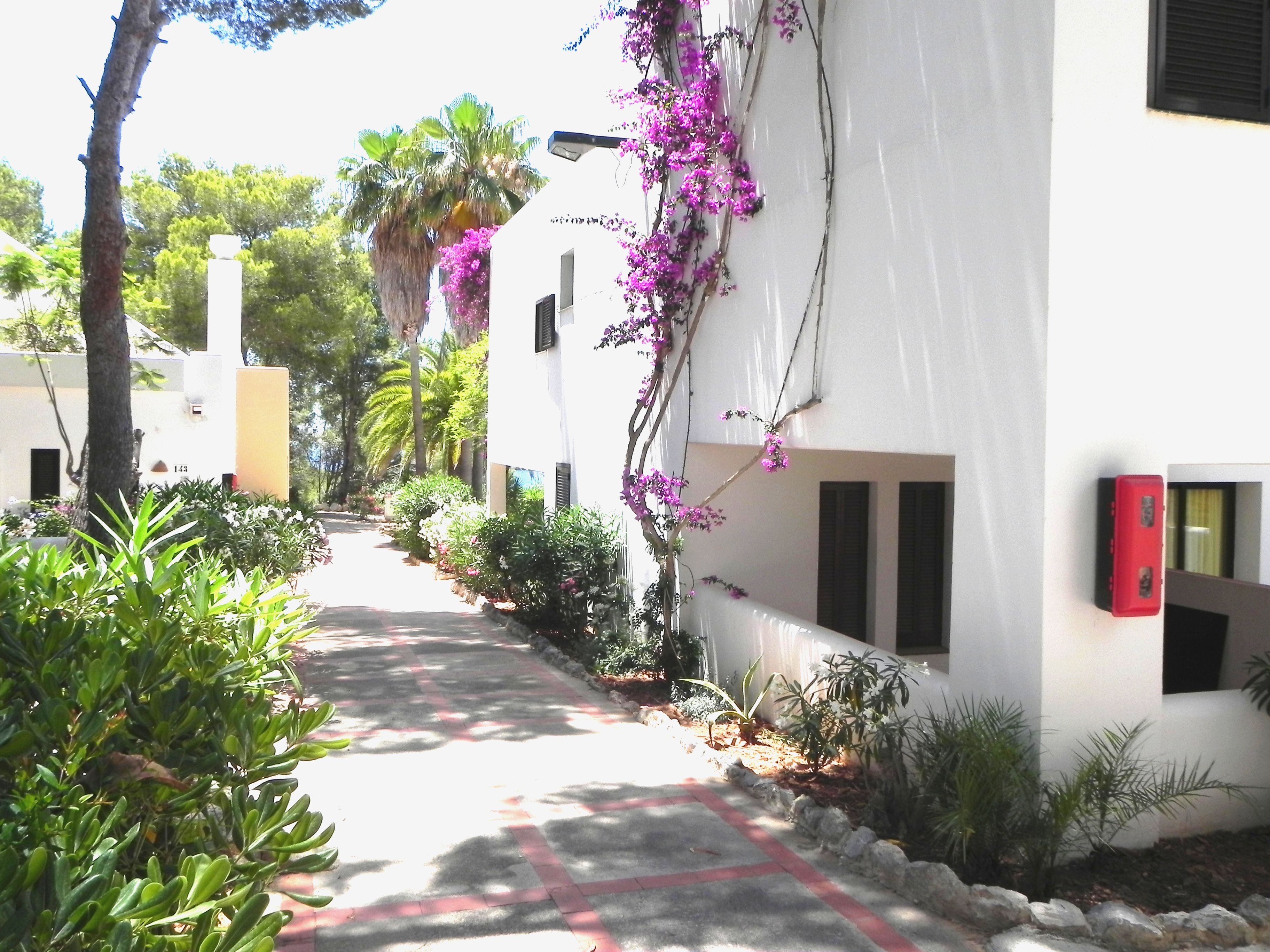 Photo - Club Cala Azul