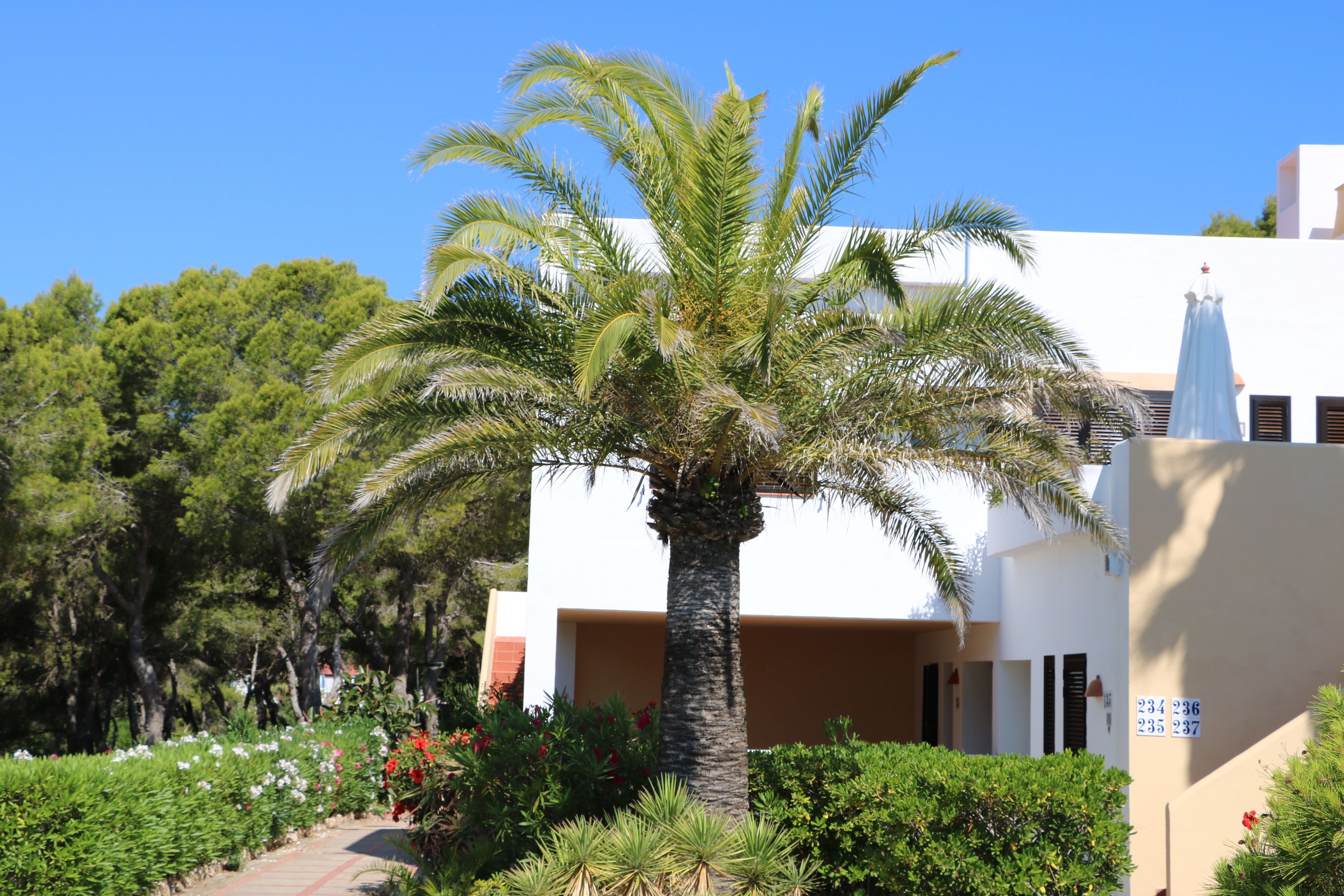 Photo - Club Cala Azul