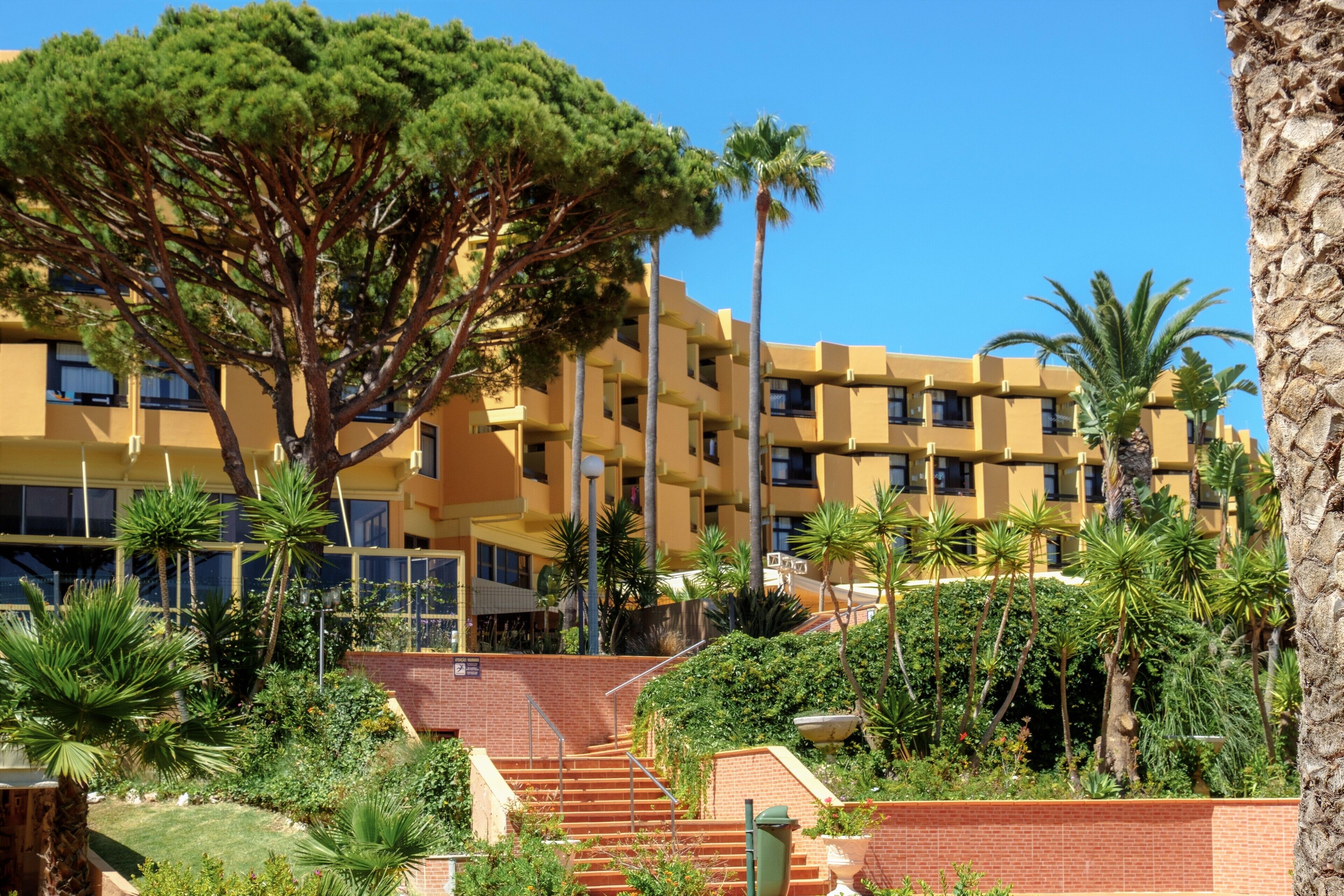 Un immeuble à plusieurs étages doté de balcons, entouré de palmiers et d’autres plantes vertes.