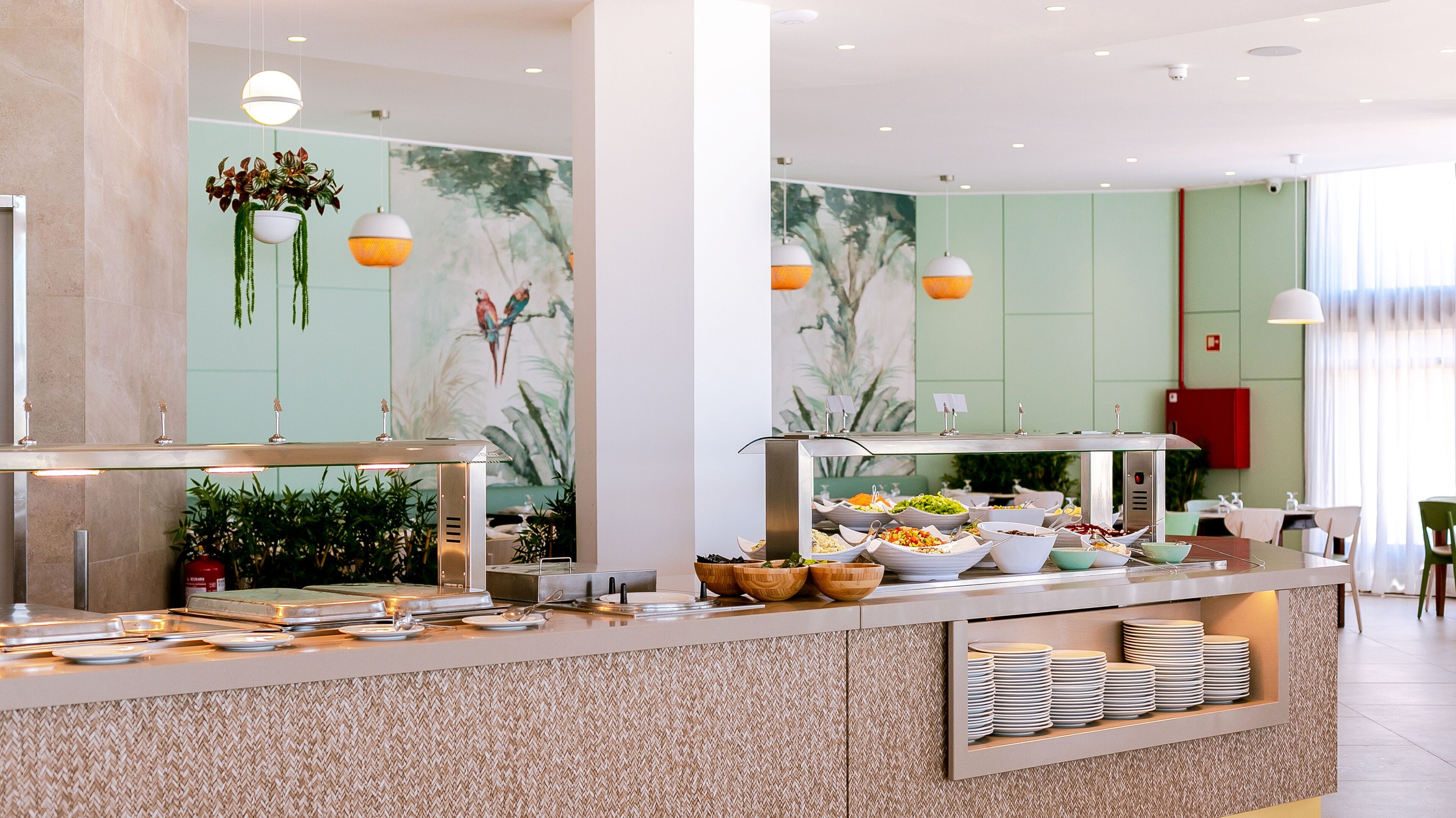 A buffet area with various food items, a counter with plates, and hanging plants.
