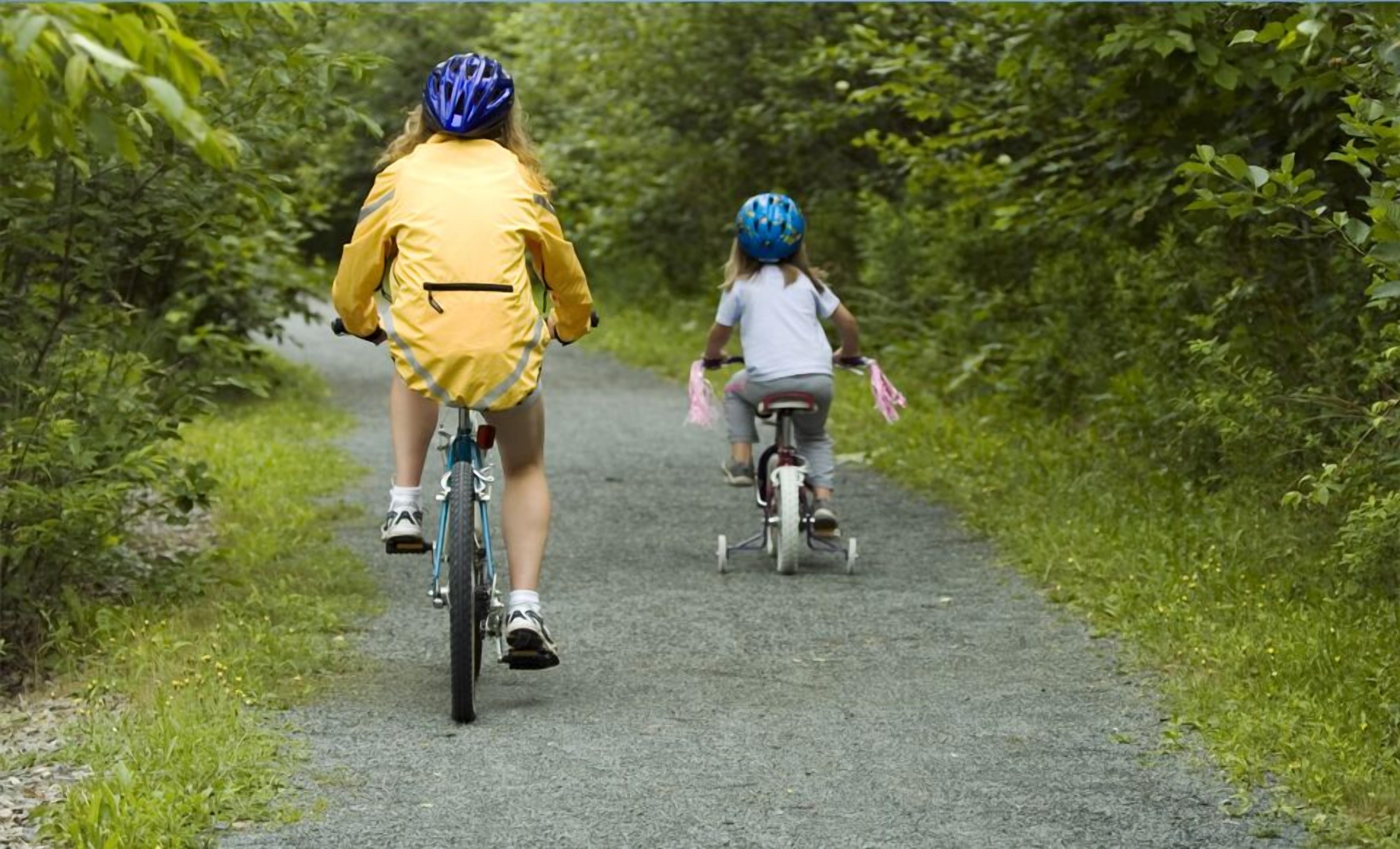 Dos ciclistas en un camino pavimentado rodeado de follaje.