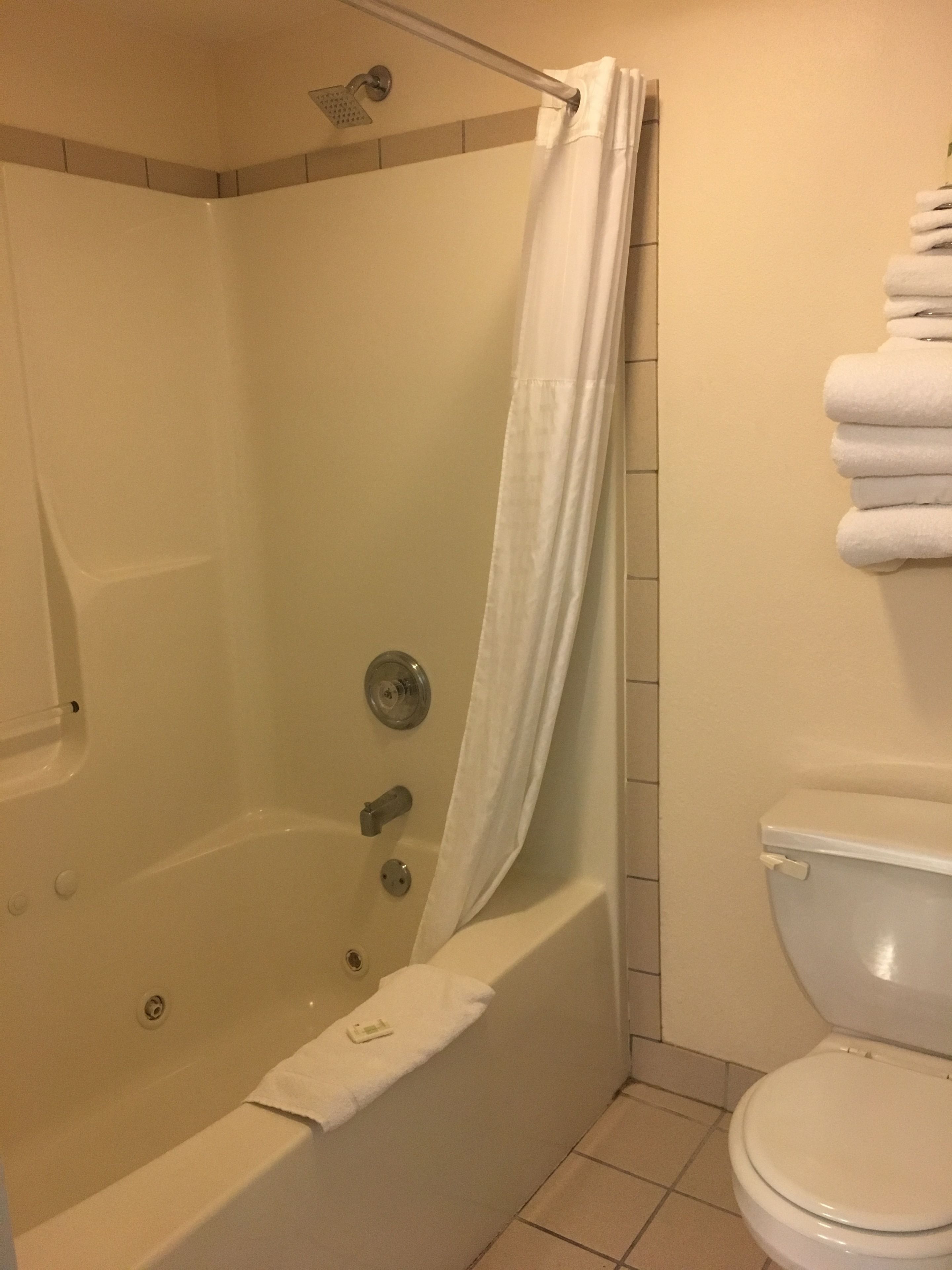 Une salle de bain avec une baignoire, une douche et des toilettes.