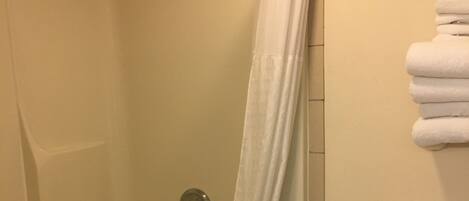 Une salle de bain avec une baignoire, une douche et des toilettes.