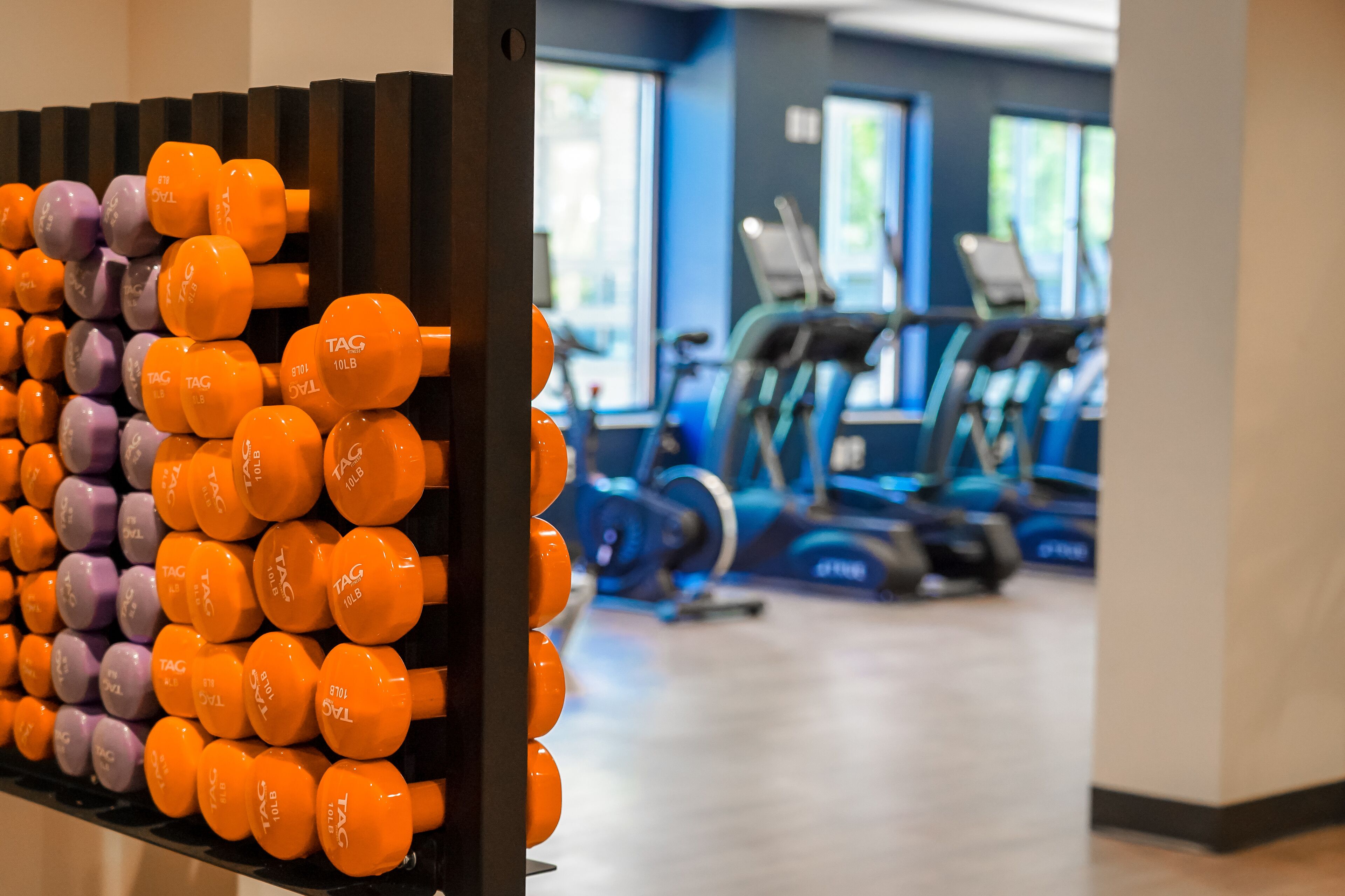 A gym with rows of orange and purple dumbbells on a rack, and treadmills in the background.