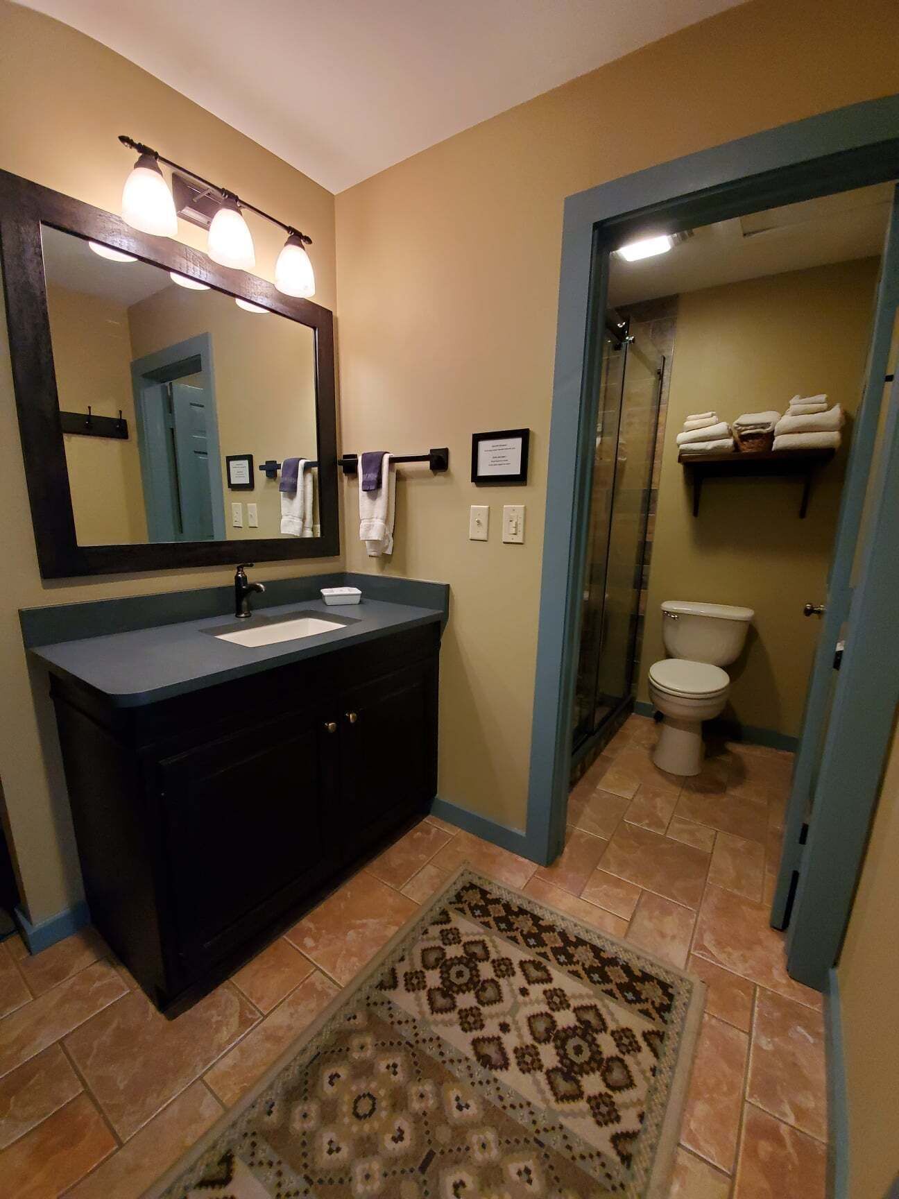 A bathroom with a dark-colored vanity, a large mirror, and a patterned rug on the floor.